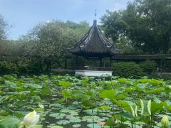 -上海醉白池公园