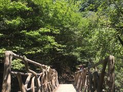 -太湖源风景区