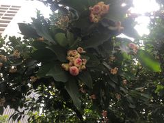 -广州花园酒店