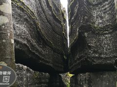 -梭布垭石林景区