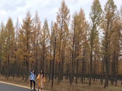 -塞罕坝国家级自然保护区