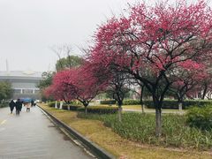 -杭州电子科技大学(下沙校区)