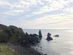 -涉地可支
