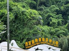-西双版纳原始森林公园