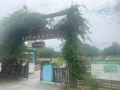 -田园东方蜜桃村的田野营地