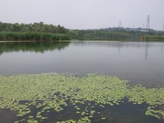 -永定河休闲森林公园