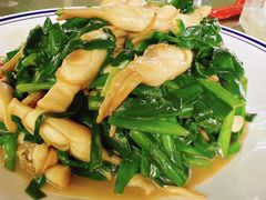 -张鸟园农家乐(张鸟园店)