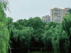 -桐乡植物园