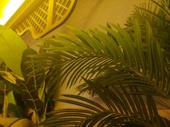 -富侨养生(康乾店)