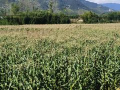 -世纪联华(杭州新塘路店)