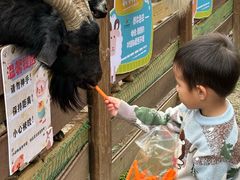 -广州锦绣香江度假别墅