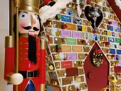 -深圳星河丽思卡尔顿酒店