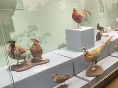 -陕西自然博物馆