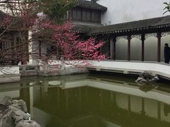 -秋霞圃