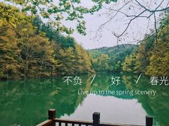 -青龙山国家森林公园
