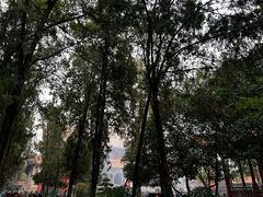 -南岳大庙