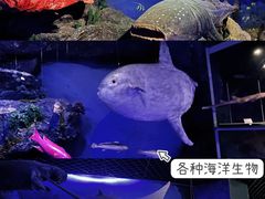 -福建博物院