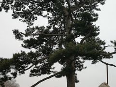 -妙峰山风景名胜区