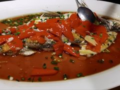 -丹江渔村(望京店)