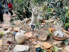 -国家植物园南园