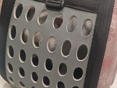 -艾吉宠物医院·疑难杂症转诊中心·猫友好(碧江路院)