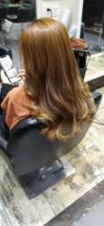 -风向标WIND VANE SALON