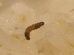 -茄子恰恰·新云南小炒(坪山益田店)