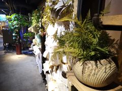-胡桃里音乐酒馆(石家庄店)