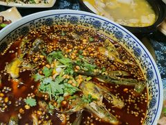 -青城甲(青城山店)