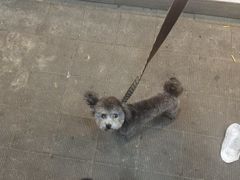 -老广烧烤(骆驼山康馨园店)
