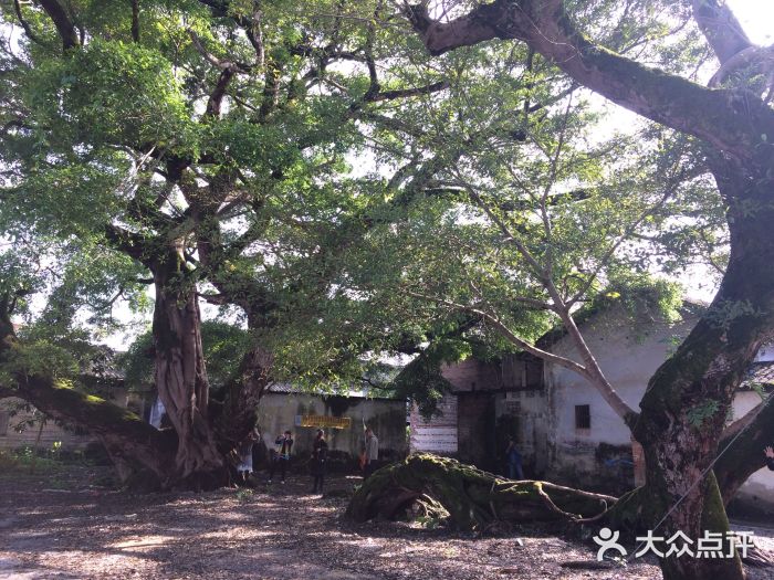 丹霞山风景名胜区图片