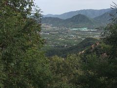 -北京鹫峰国家森林公园