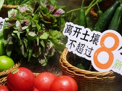 -海鸿荟·沿江菜(中山北路店)