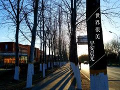 -中关村生命科学园