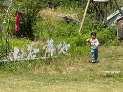 -大塘金香草谷