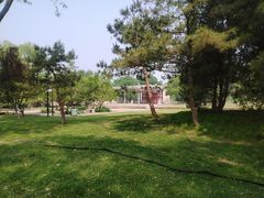 -北坞公园