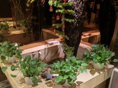 -华夏良子·足道SPA艾灸(方庄一店)