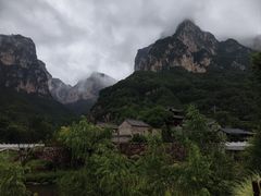 -王莽岭风景区