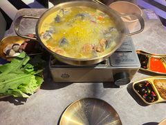 -Darling Queen·Mini·Live·House