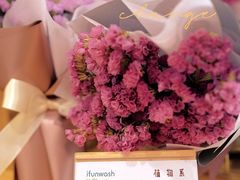 -爱欢洗ifunwash(北辰店)