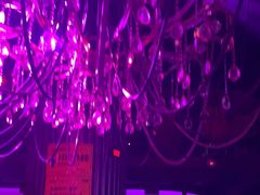 -苏荷酒吧(九街店)