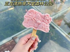 -亚龙湾热带天堂森林公园