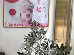 -伏小桃(明瓦廊店)