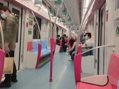 -东方体育中心(地铁站)
