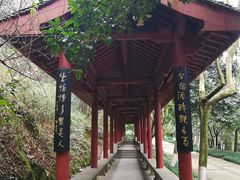 -杭州少年儿童公园