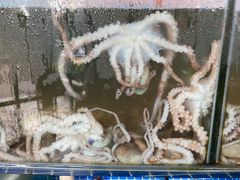 -蟹谢蒸鲜自助餐厅