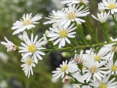 -上海植物园-4号门售票处