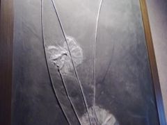 -中华赏石园
