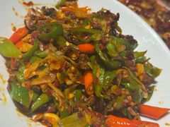 -柴窝堡22号辣子鸡·传承新疆菜