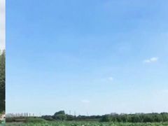 -荷塘月色湿地公园·向阳花洲
